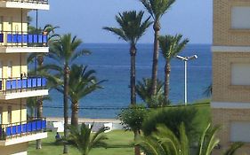Alondras Playa Denia
